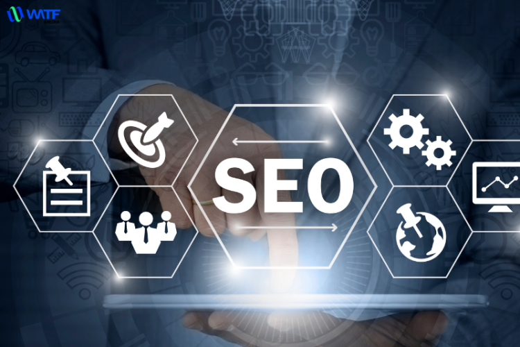 Bạn cần nắm vững các khái niệm SEO như On-Page SEO, Off-Page SEO và Technical SEO