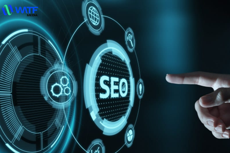 Tự Học SEO Có Khó Không? Hướng Dẫn Cho Người Mới Bắt Đầu Chi Tiết