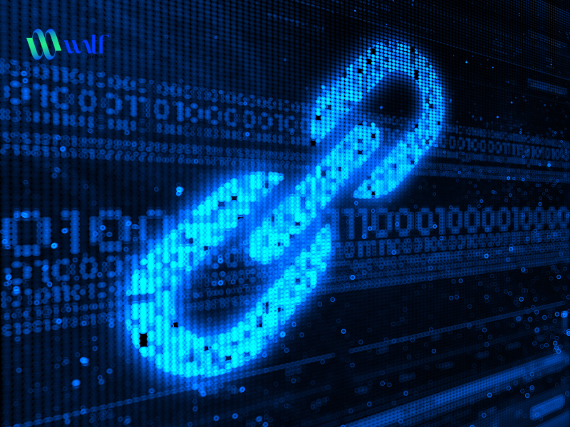 Top 5 mô hình backlink hiệu quả, bền vững, hút traffic nhất 2025
