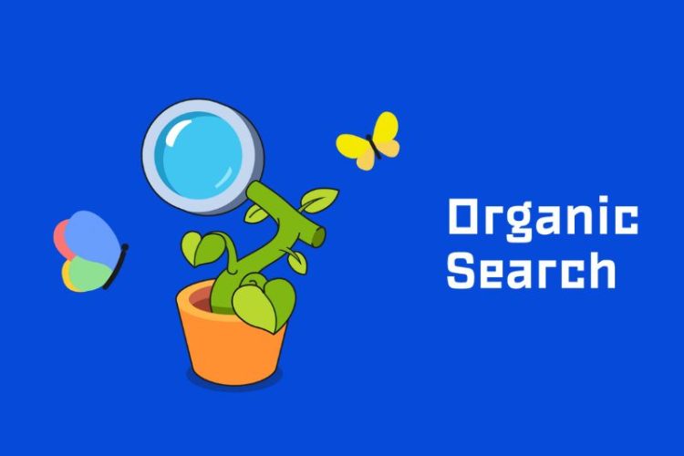 Organic Search Là Gì?