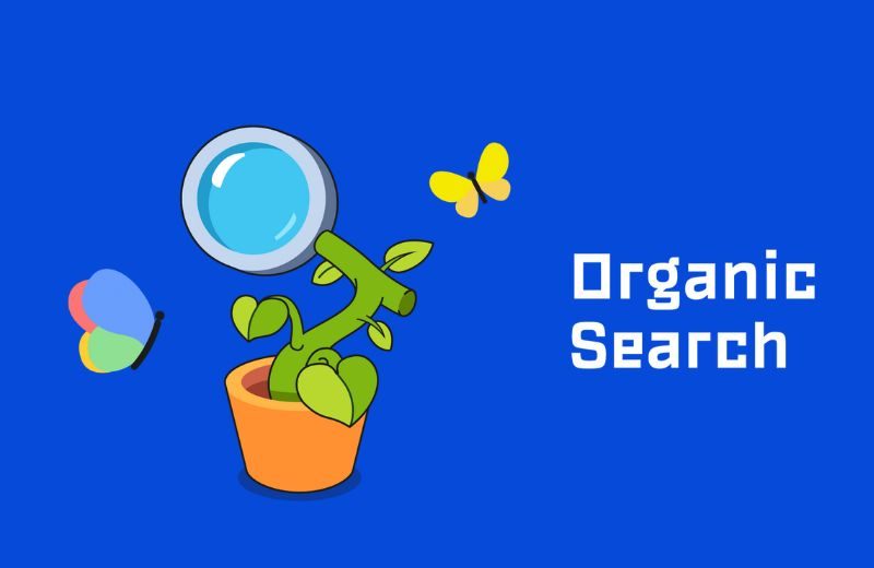 Organic Search Là Gì?