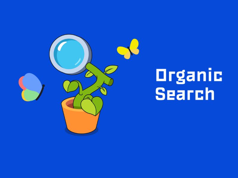Organic Search Là Gì?