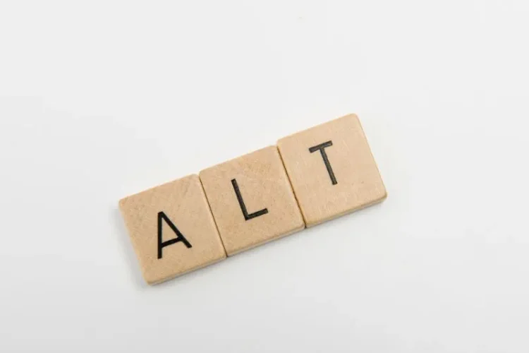 Alt Text Là Gì