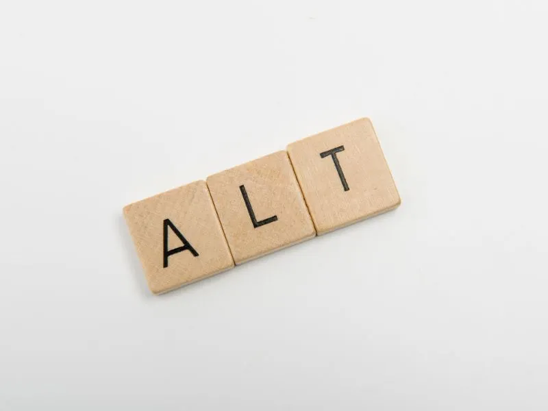 Alt Text Là Gì