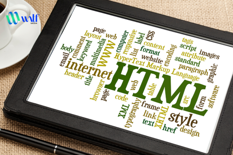 Hướng dẫn tự học thiết kế web bằng html đơn giản, hiệu quả