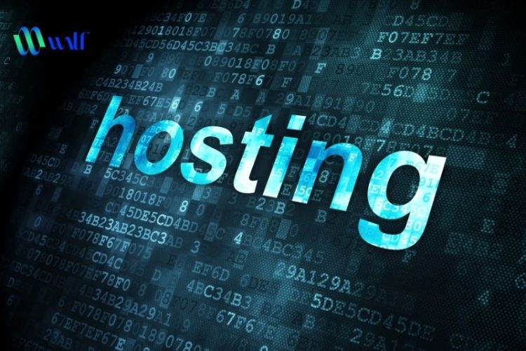 Dung lượng hosting là gì? Cách kiểm tra và tối ưu dung lượng hosting