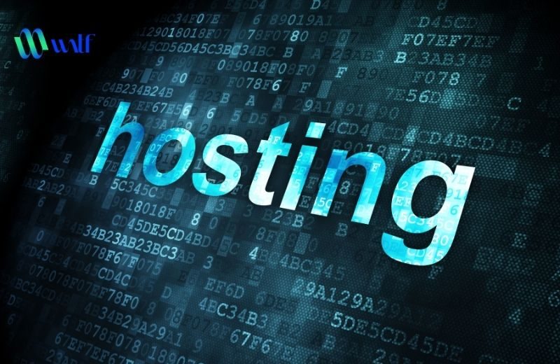 Dung lượng hosting là gì? Cách kiểm tra và tối ưu dung lượng hosting