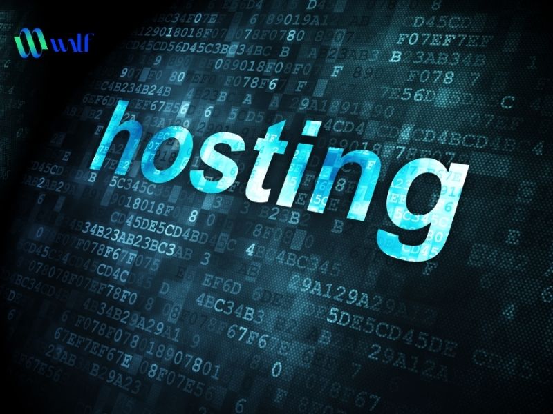 Dung lượng hosting là gì? Cách kiểm tra và tối ưu dung lượng hosting