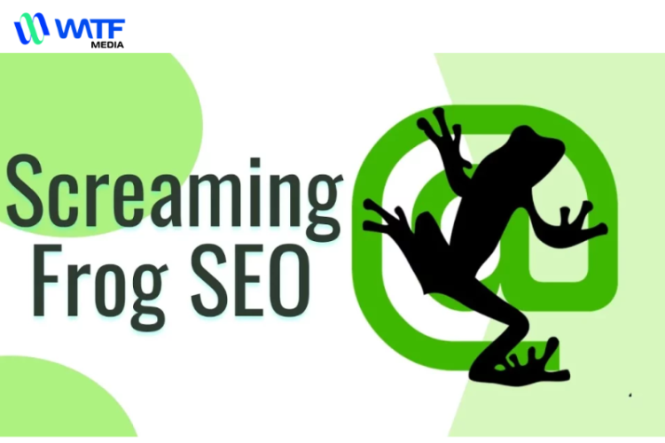 Hướng Dẫn Chi Tiết Và Cách Sử Dụng Screaming Frog