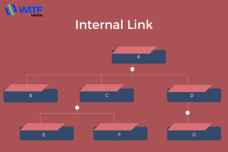 Tối ưu hóa Internal Link cho website