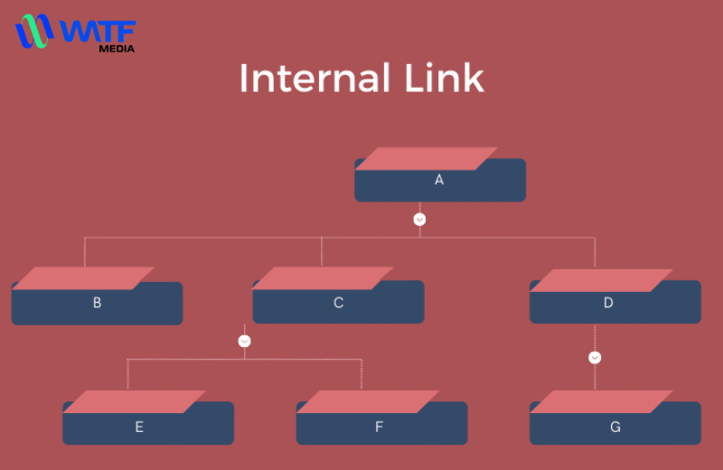 Tối ưu hóa Internal Link cho website