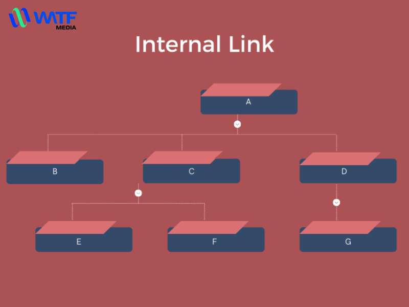 Tối ưu hóa Internal Link cho website