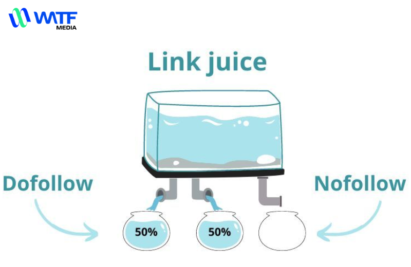 Link Juice là gì? Tìm hiểu chi tiết về Link Juice trong SEO
