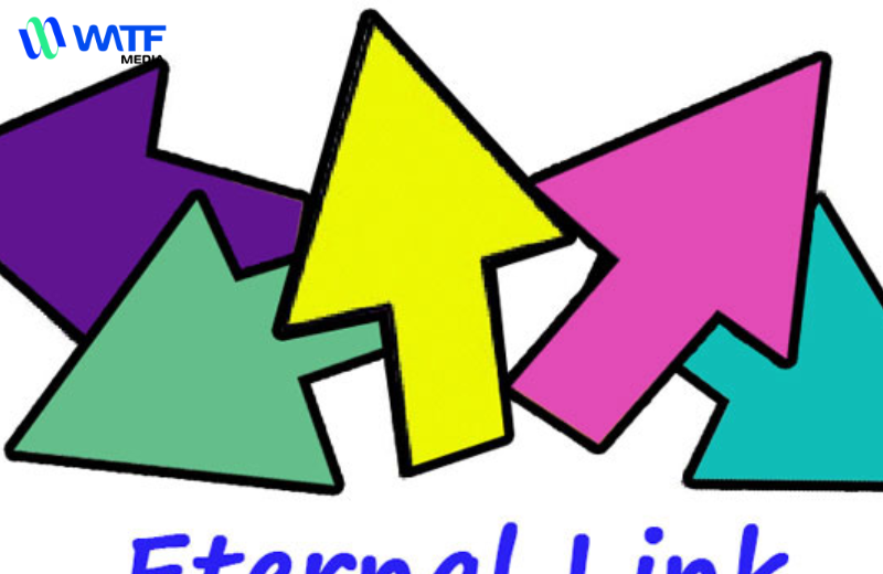 External Link Trong SEO Là Gì? - WATF Media