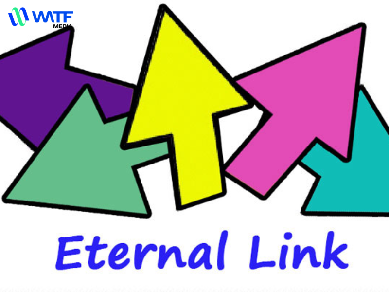 External Link Trong SEO Là Gì? - WATF Media