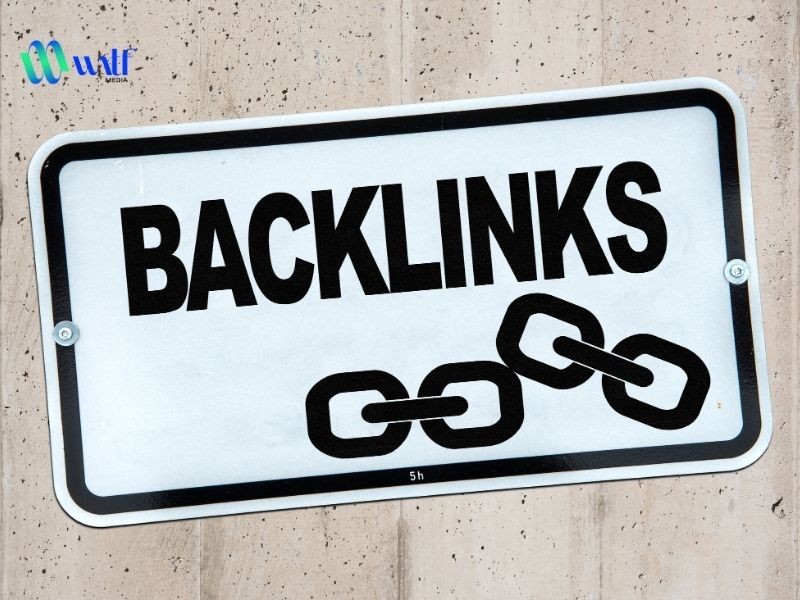 Hướng dẫn đi backlink lên top SEO dành cho người mới 2025